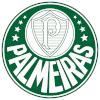 帕尔梅拉斯女足